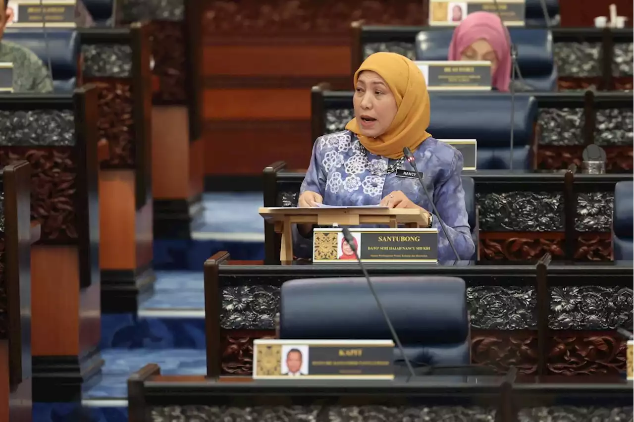 Senior Citizens Bill already drafted, to be presented next year, says Nancy