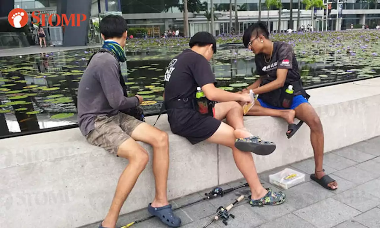 More youths fishing at MBS pond -- and they even nearly hit passer-by with rod