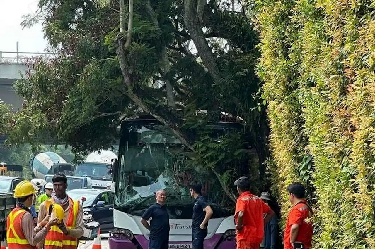 Two taken to hospital after accident involving bus, lorry and car in Yio Chu Kang Road