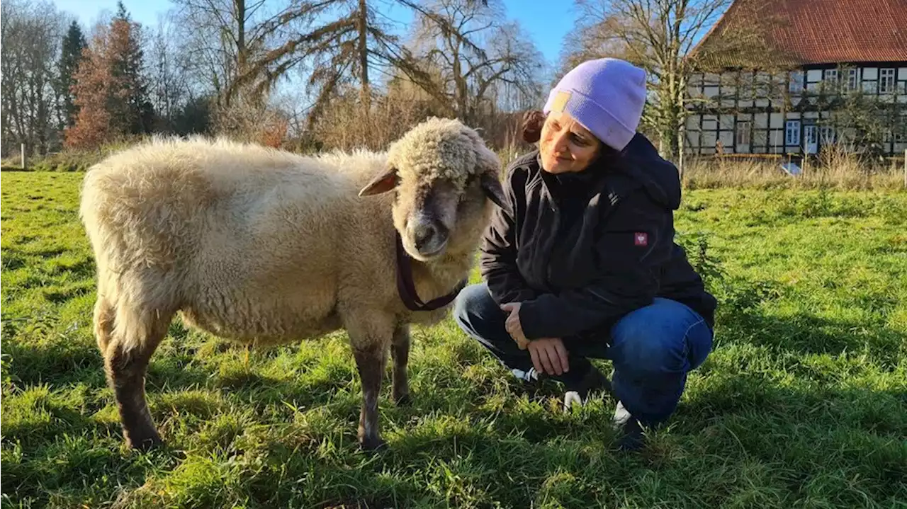 Wohnen auf einem Lebenshof: Zuerst Menschen, dann Tiere?