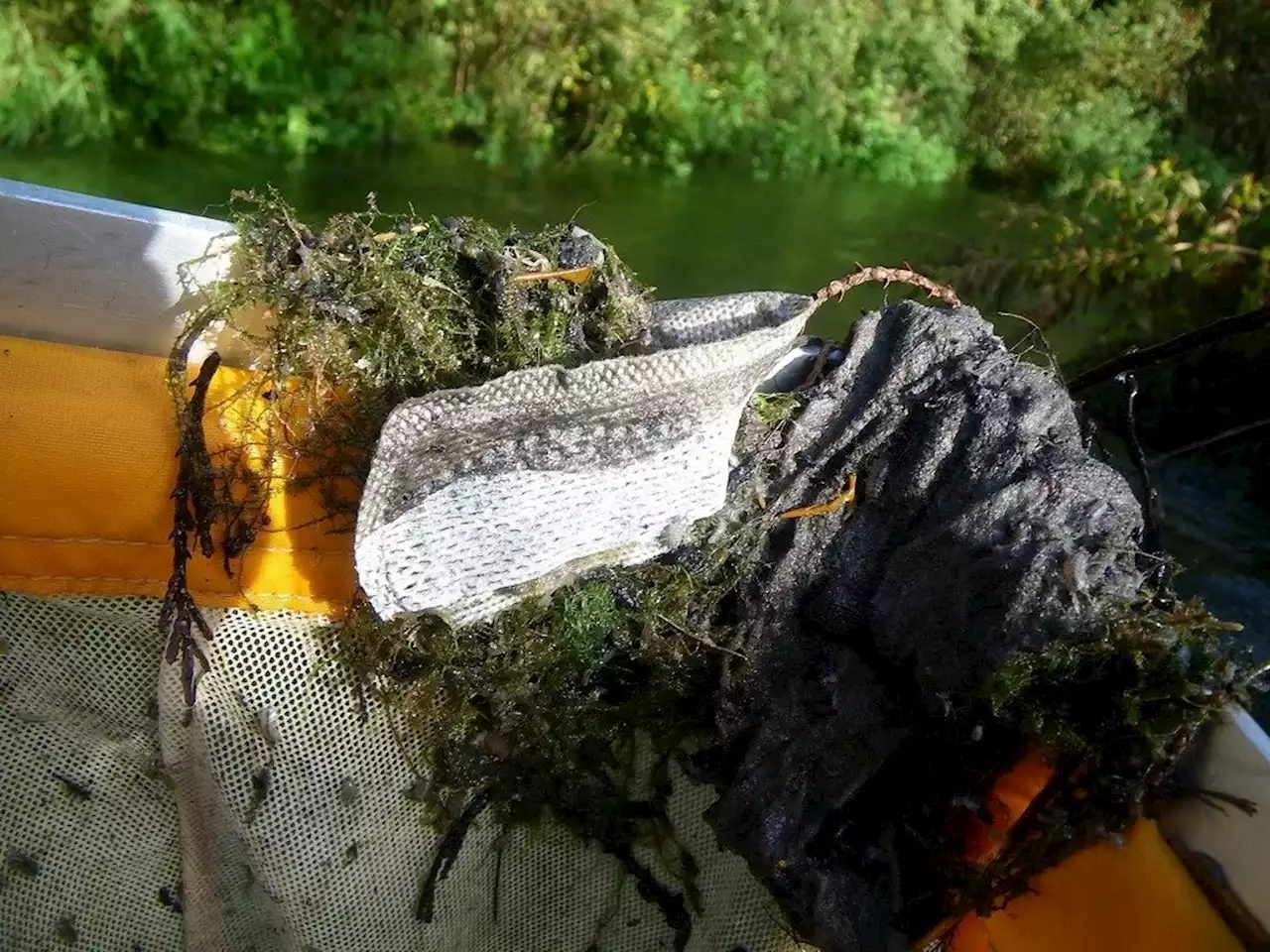 Yorkshire's greatest fly fishing river drowned in sewage and sediment