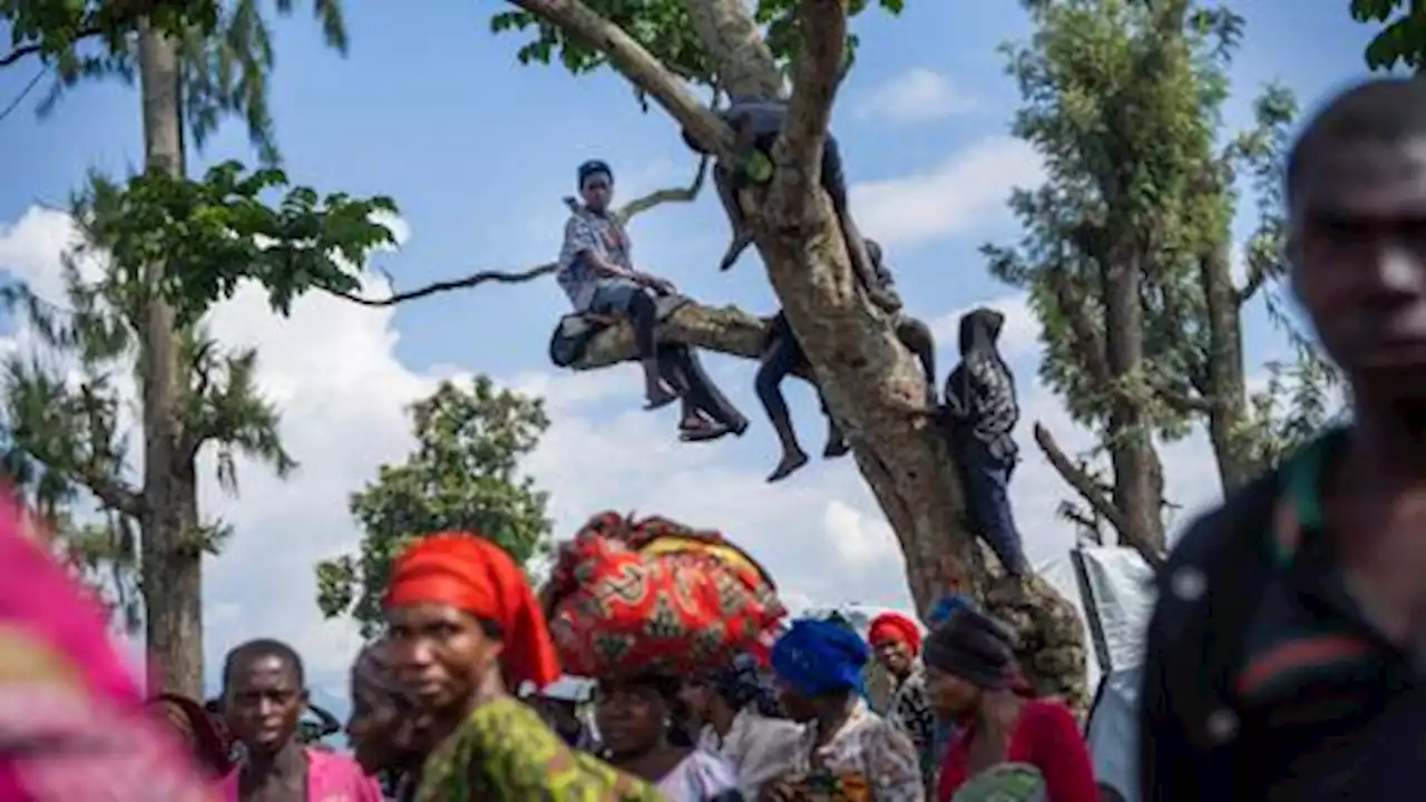 Dozens of women and minors raped during worker expulsion from Angola to DRC