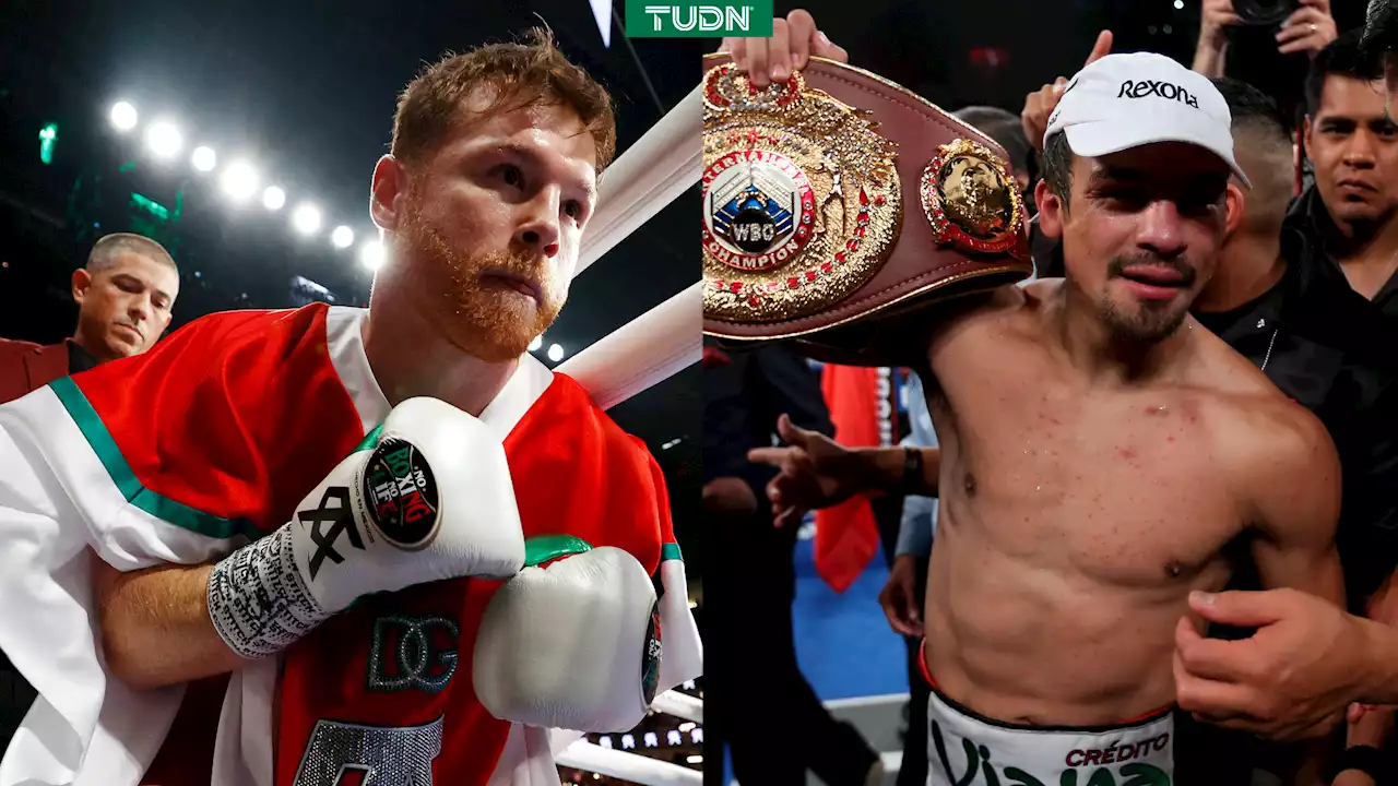 'Canelo' Álvarez explota contra Juan Manuel Márquez: 'Está podrido de su cabeza'