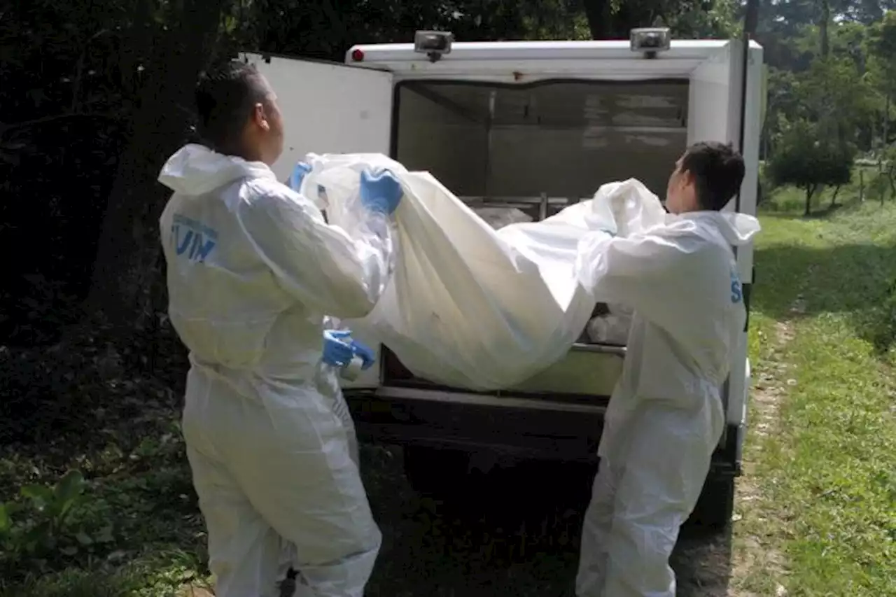 Autoridades encontraron cuerpo sin vida de un hombre en zona rural de Oiba, Santander