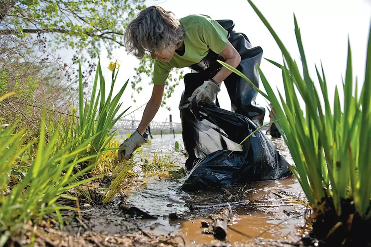 15 Ways to Celebrate Earth Day Around DC