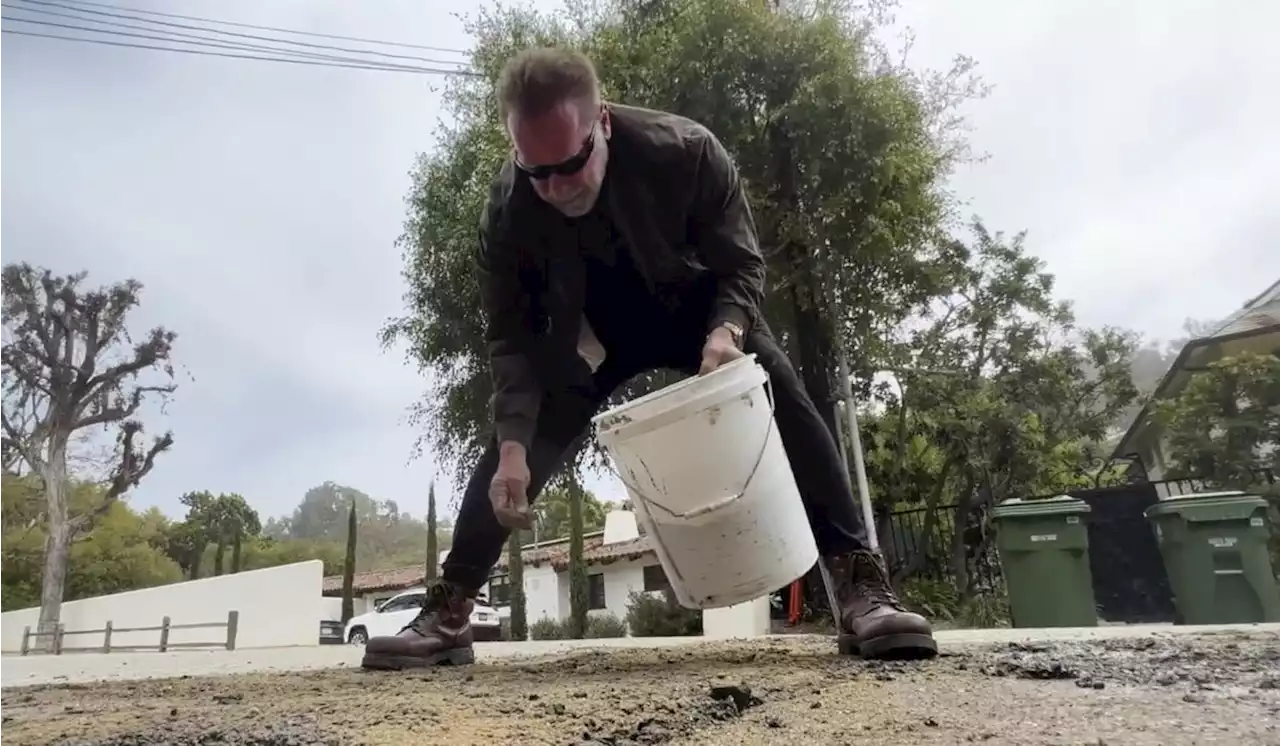 Pothole filled by Arnold Schwarzenegger not a pothole, city says