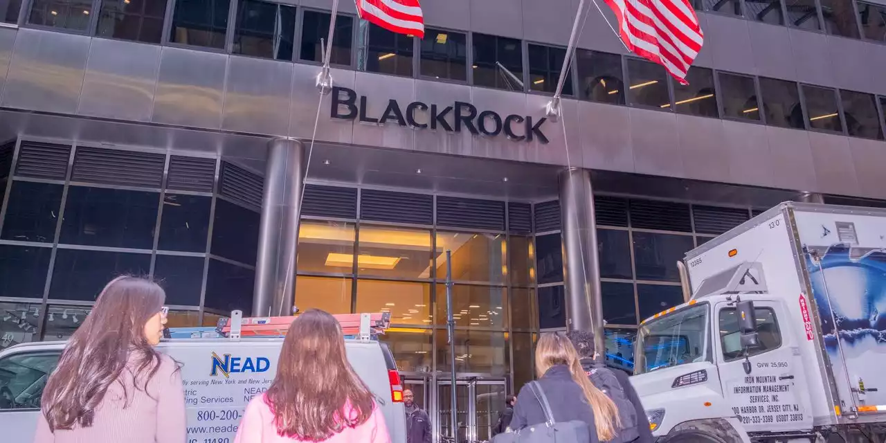 BlackRock Profit Falls 19%