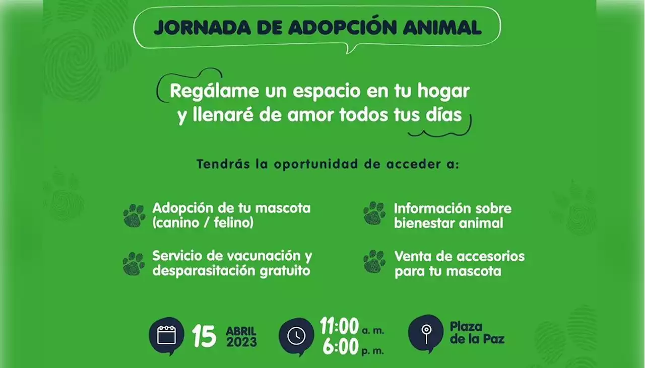 Este sábado, jornada de adopción animal en la Plaza de la Paz