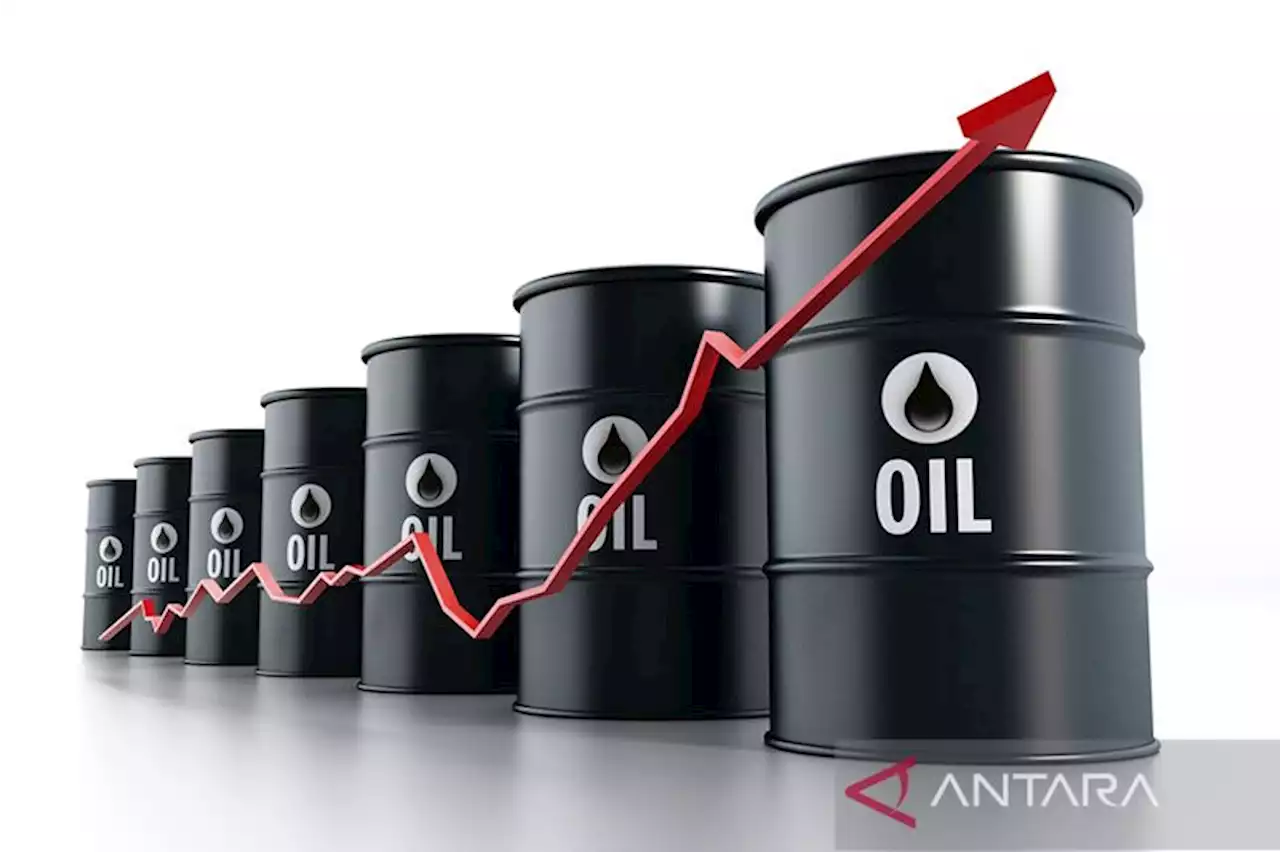 Harga minyak ditutup menguat dipicu prospek pasokan lebih ketat