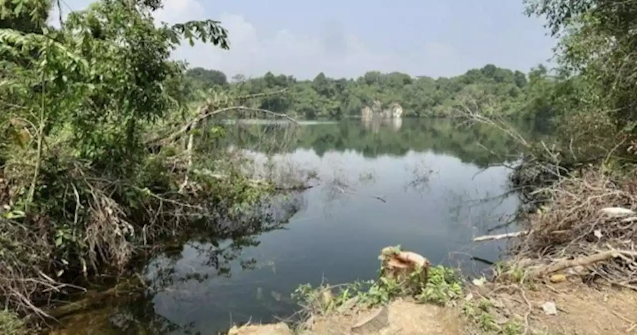 Ongoing search for off-duty NSF firefighter missing in Pulau Ubin since Friday