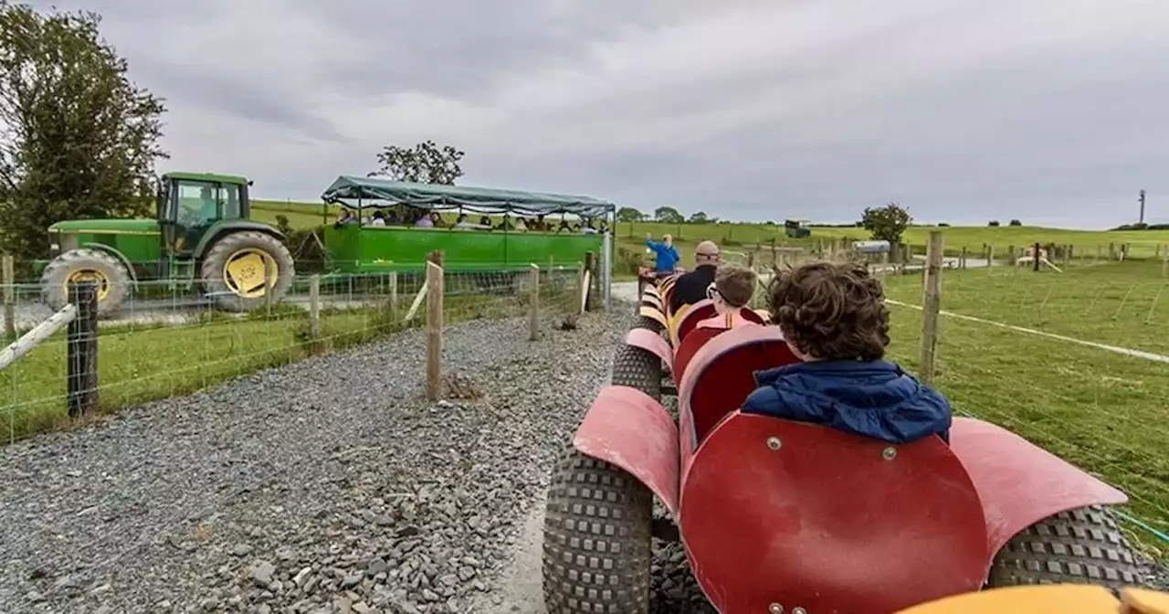 Belfast farm thanks public for quick response after baby has medical emergency