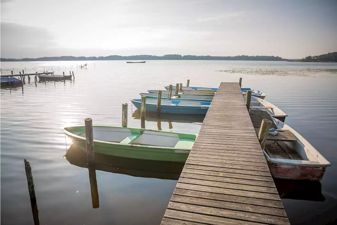 Vom See direkt auf den Teller: Wo es in Brandenburg hervorragenden Fisch gibt