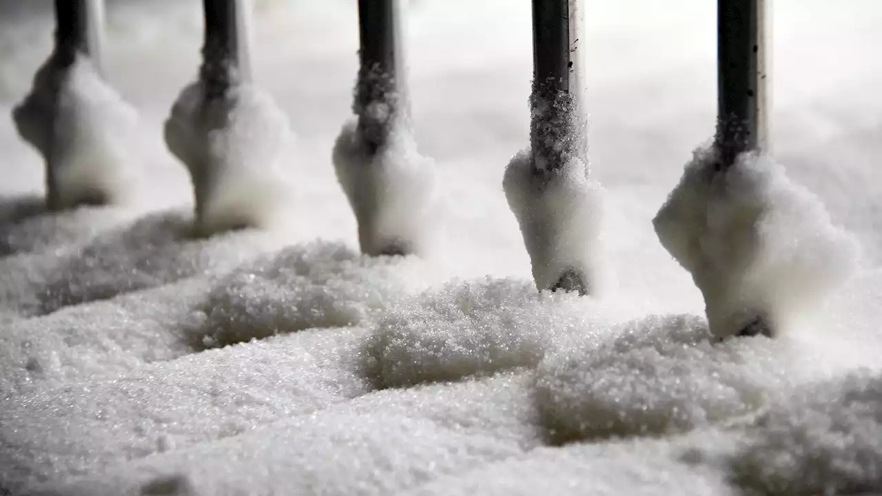 Pourquoi le prix de certains produits alimentaires continue à flamber depuis le début de l’année