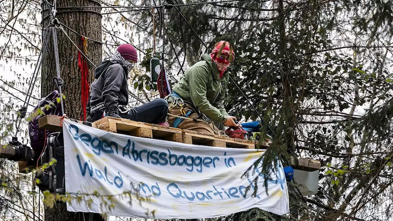 Waldbesetzer ignorieren Ultimatum von Rümlang ZH