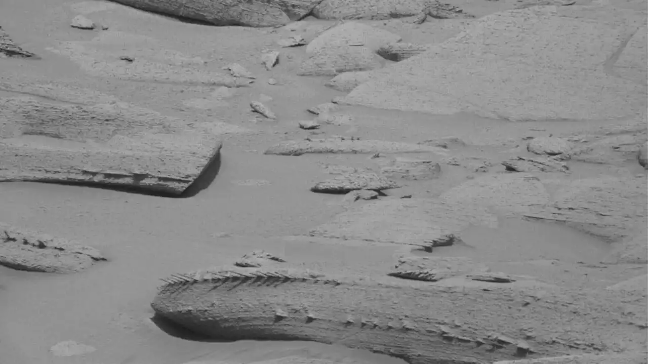 Curious Rover captures dragon-like skeleton photo on Mars