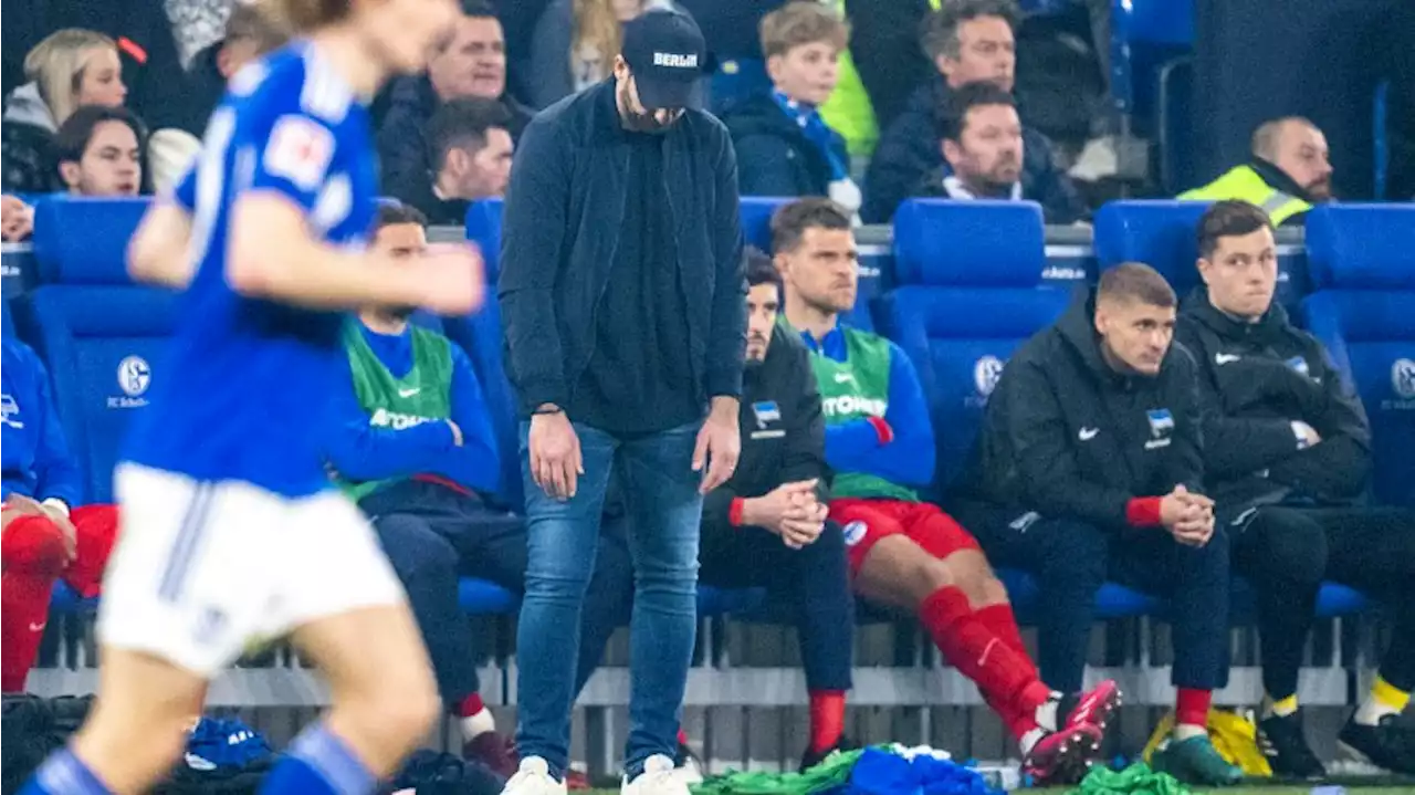 Hertha BSC am Tabellenende: Zukunft von Trainer Schwarz ungewiss