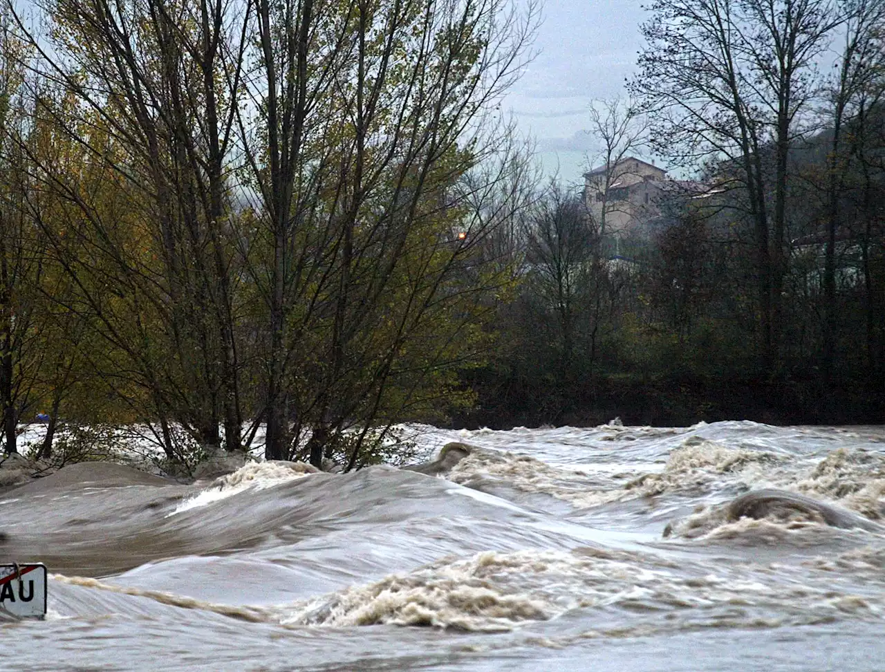 Aveyron : 25 tonnes de mélasse de betteraves rejetées accidentellement dans un ruisseau