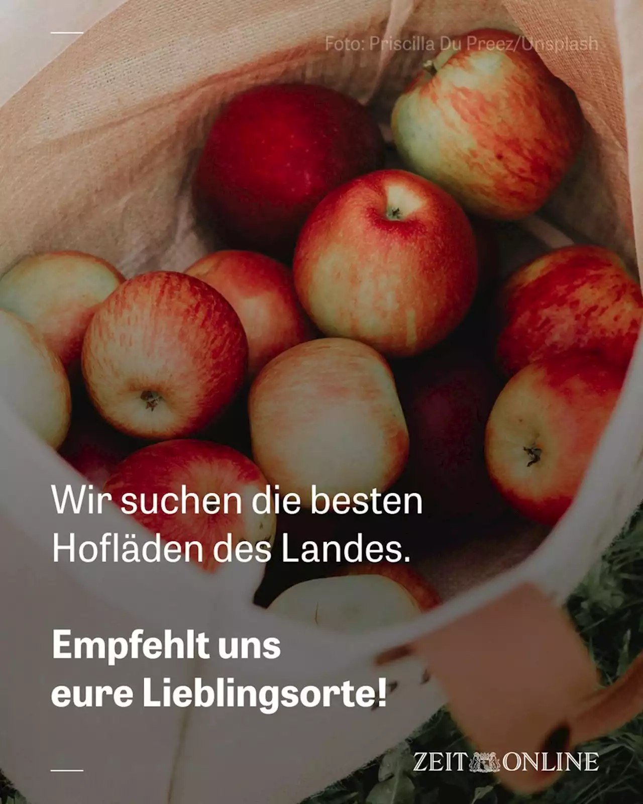 ZEIT ONLINE | Lesen Sie zeit.de mit Werbung oder im PUR-Abo. Sie haben die Wahl.