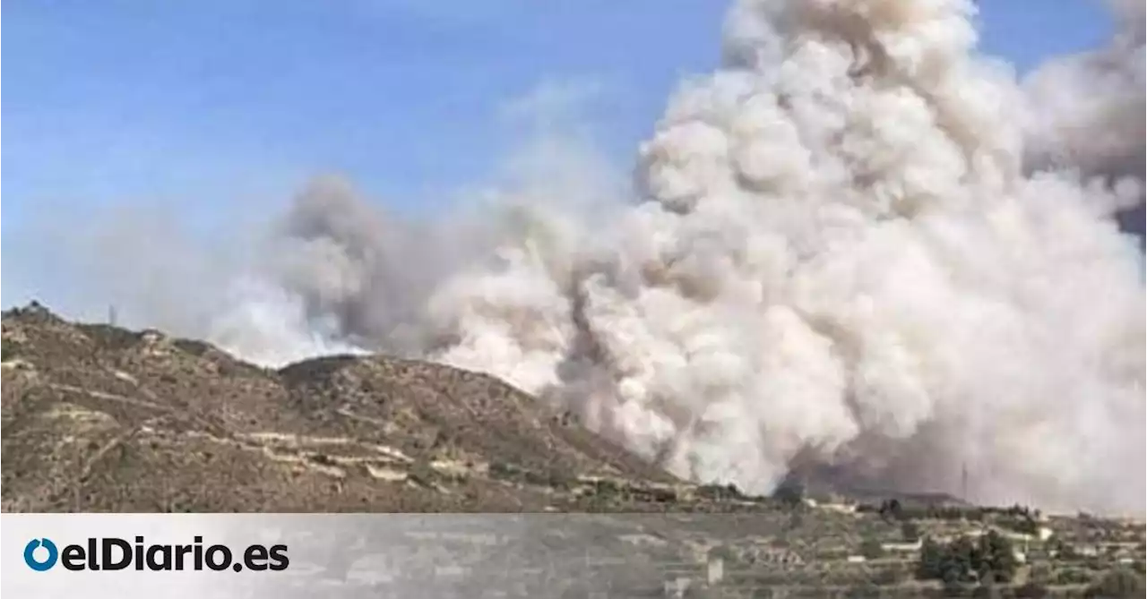 Se declara un incendio en Mequinenza, cerca del límite entre Aragón y Catalunya