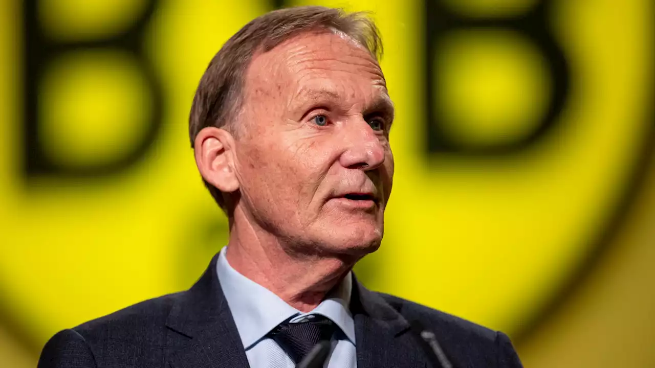 Hans-Joachim Watzke und Dirk Zingler für Investoren in der Bundesliga - Debatte 'in Teilen scheinheilig'