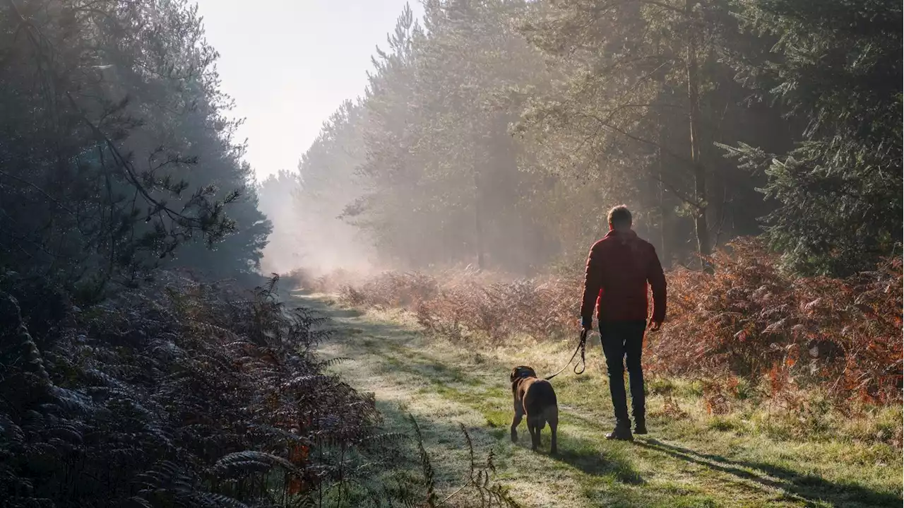 Un peu de nature pour une meilleure santé