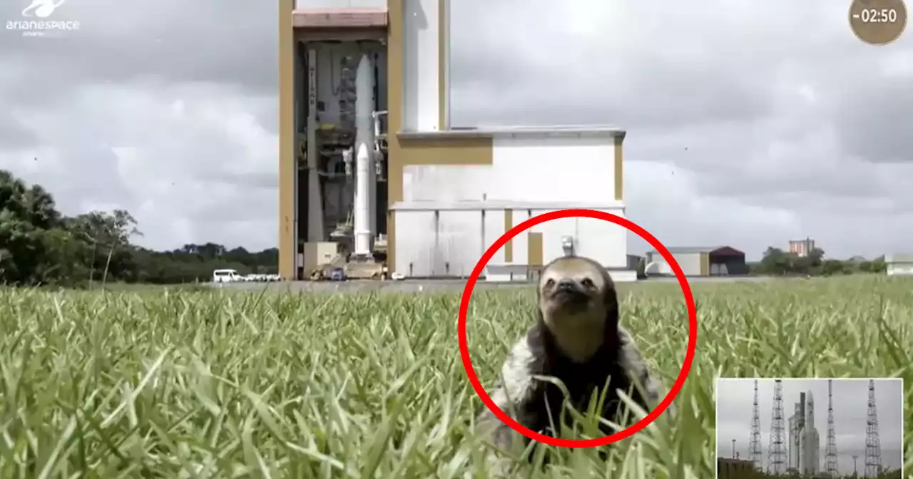 Strange Creature Appears at Historic Rocket Launch