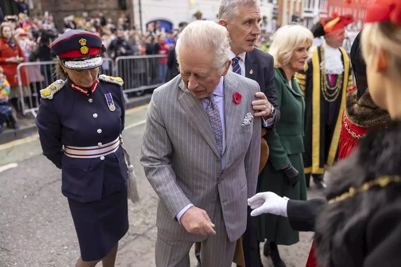 Man convicted after throwing eggs at Britain's King Charles