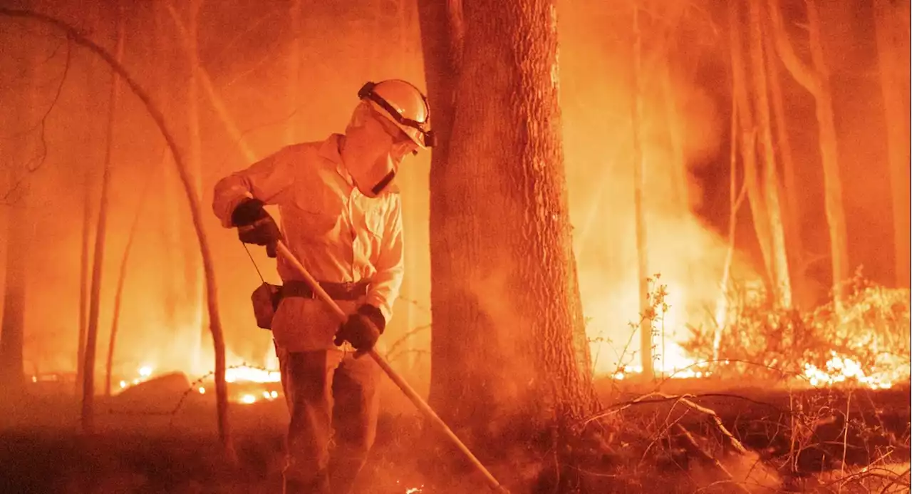 Wildfires scorch swaths of New York and New Jersey amid record-breaking heat