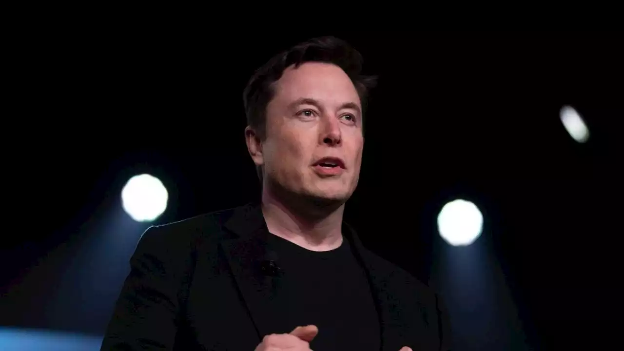 Elon Musk entra en la carrera de la inteligencia artificial