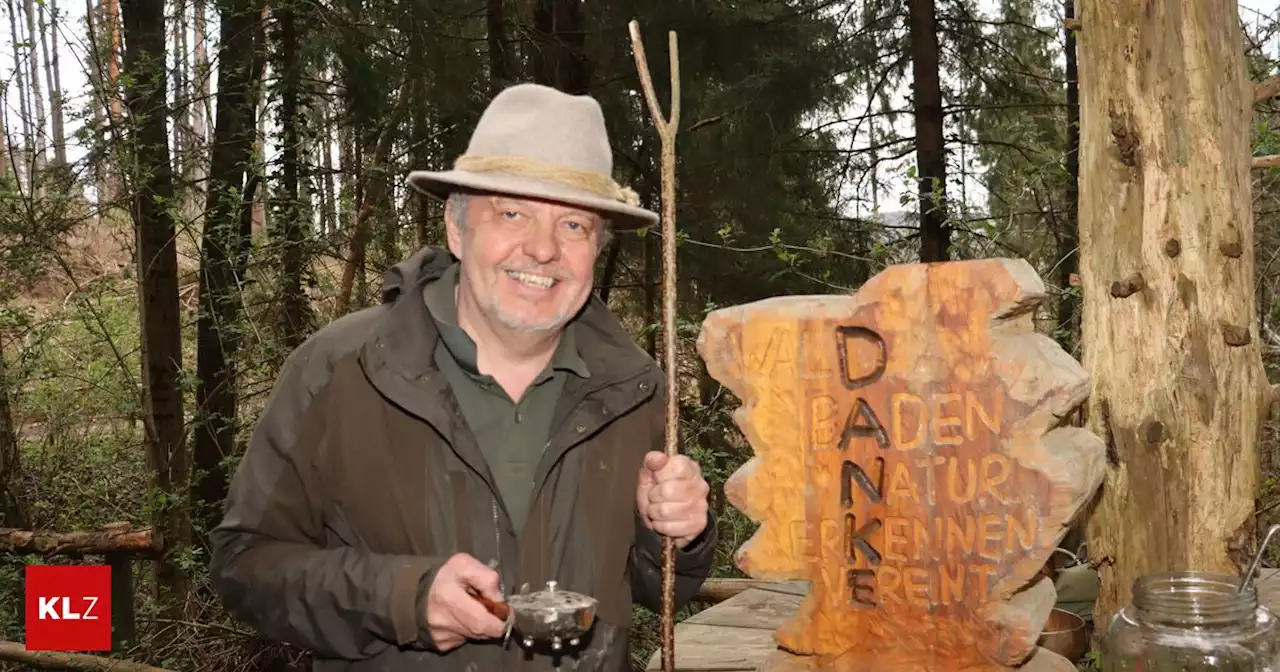 Parcours zum Waldbaden: Stallhofen geht baden – eine Waldwanderung zurück in die Kindheit | Kleine Zeitung