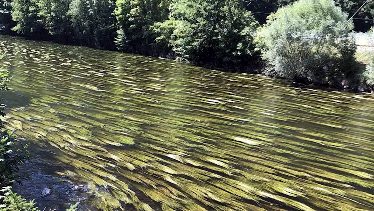 Aveyron : 25 tonnes de mélasse rejetées dans un cours d'eau