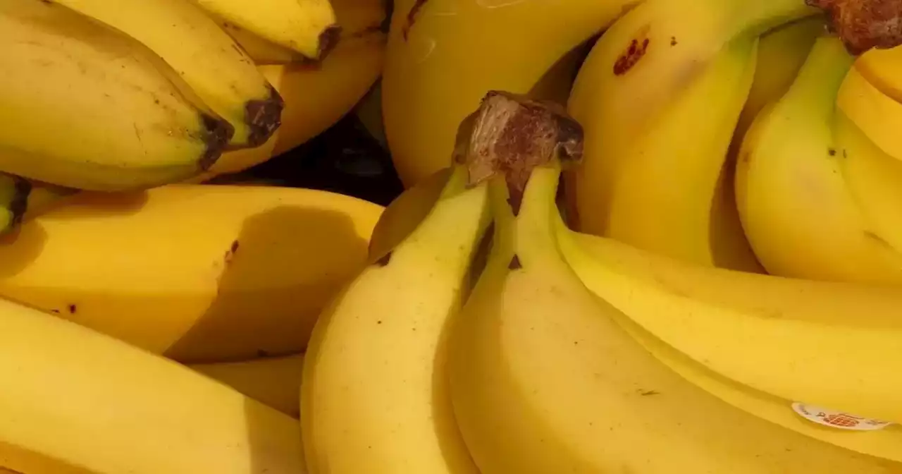 Un hombre compró una bolsa de bananos y se llevó una espantosa sorpresa