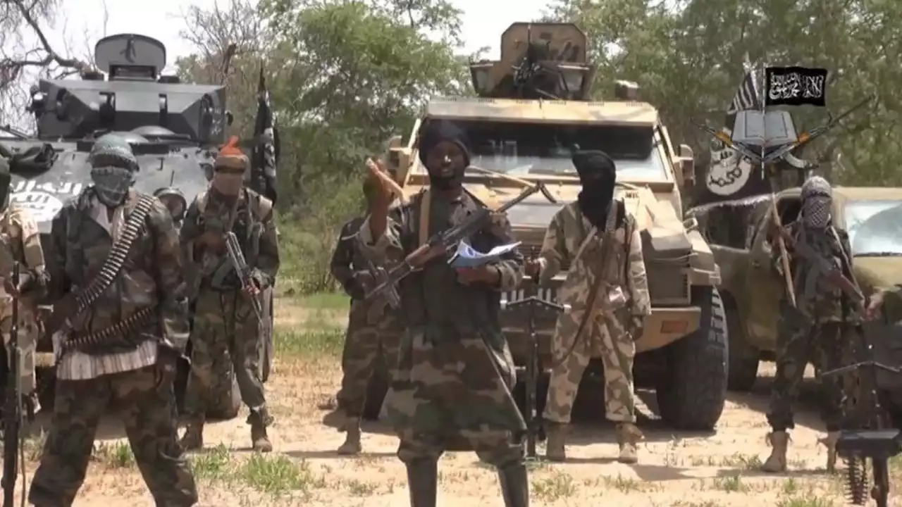 Boko Haram Terrorists Kill 10 Villagers In Gov Buni's Home Town