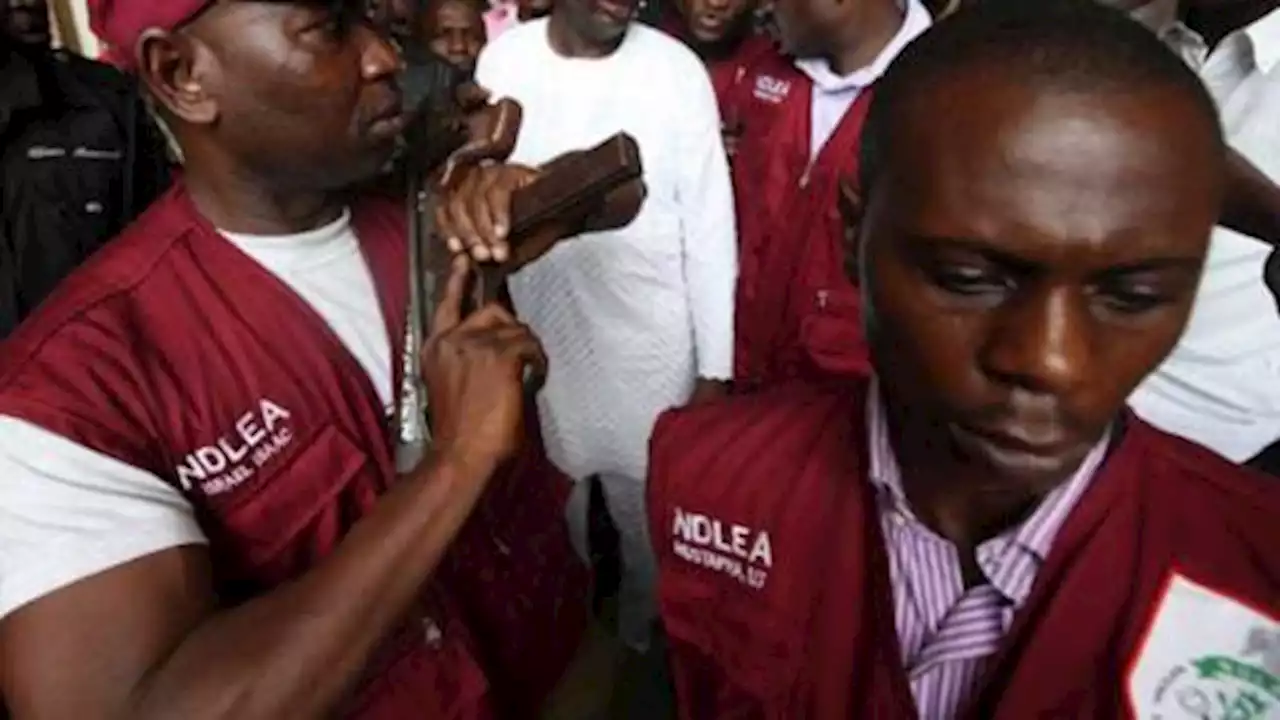 NDLEA Seizes Illicit Drugs In Oyo