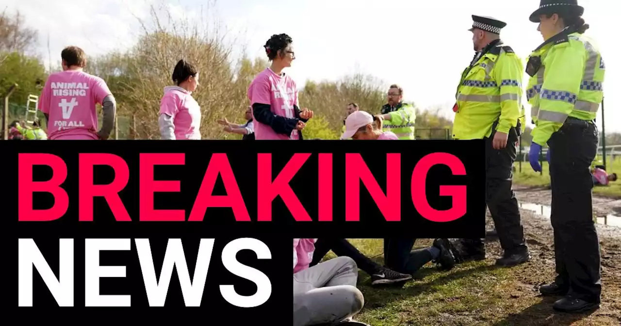 Grand National protestors shut down M57 by sitting in the motorway