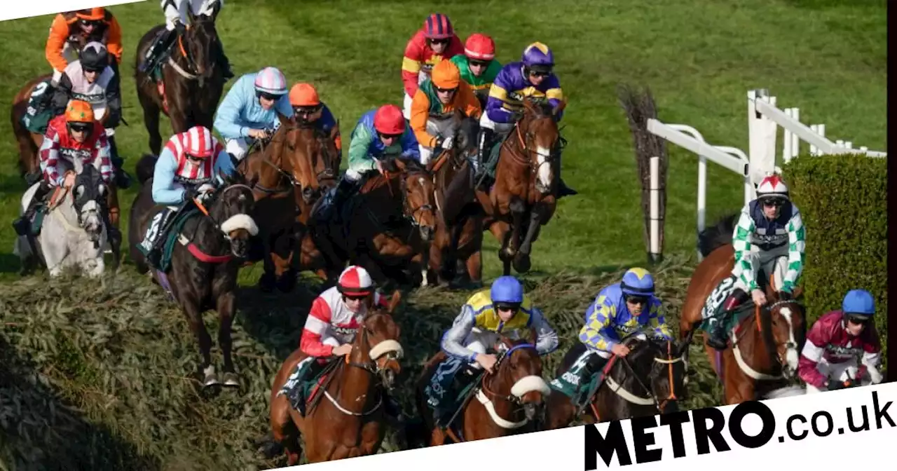 Three horses have died at this year's Grand National