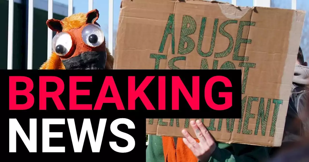 Woman, 33, arrested as animal rights activists vow to disrupt Grand National