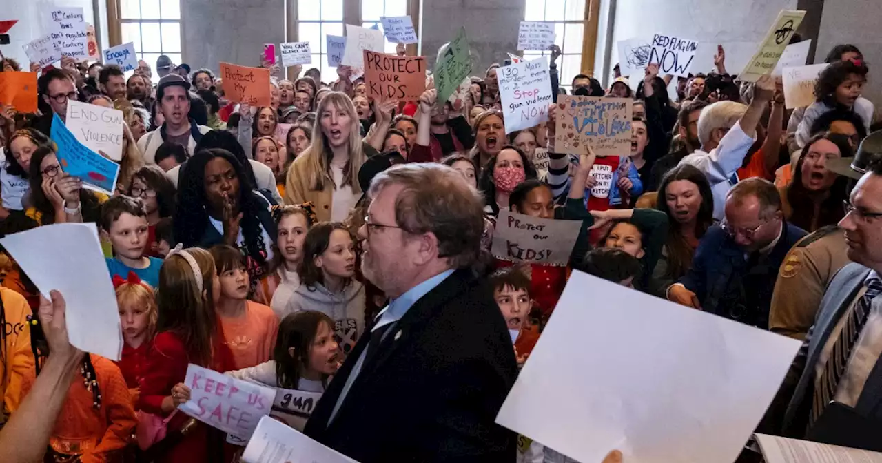 In leaked audio, Tennessee Republicans whine about being called 'racist'