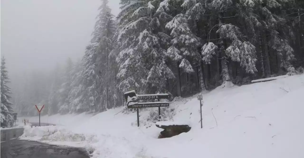 Bis zu 20 Zentimeter Neuschnee: Wintereinbruch im Bayerischen Wald