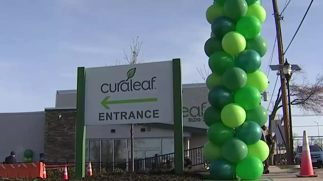 Curaleaf Loses Licenses to Sell Recreational Marijuana at Two Locations