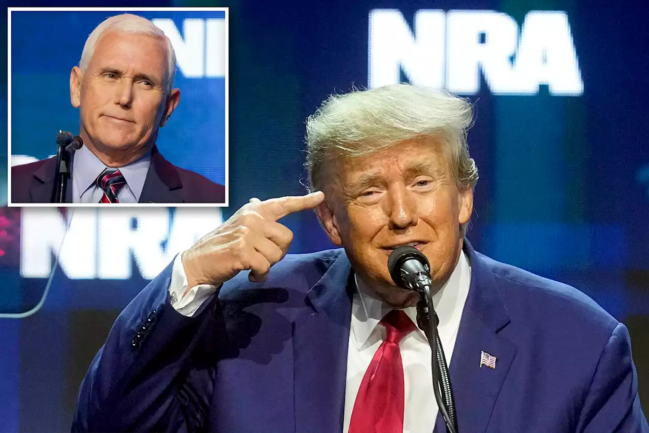 Trump warns NRA ‘better endorse me again’ after convention boos Pence