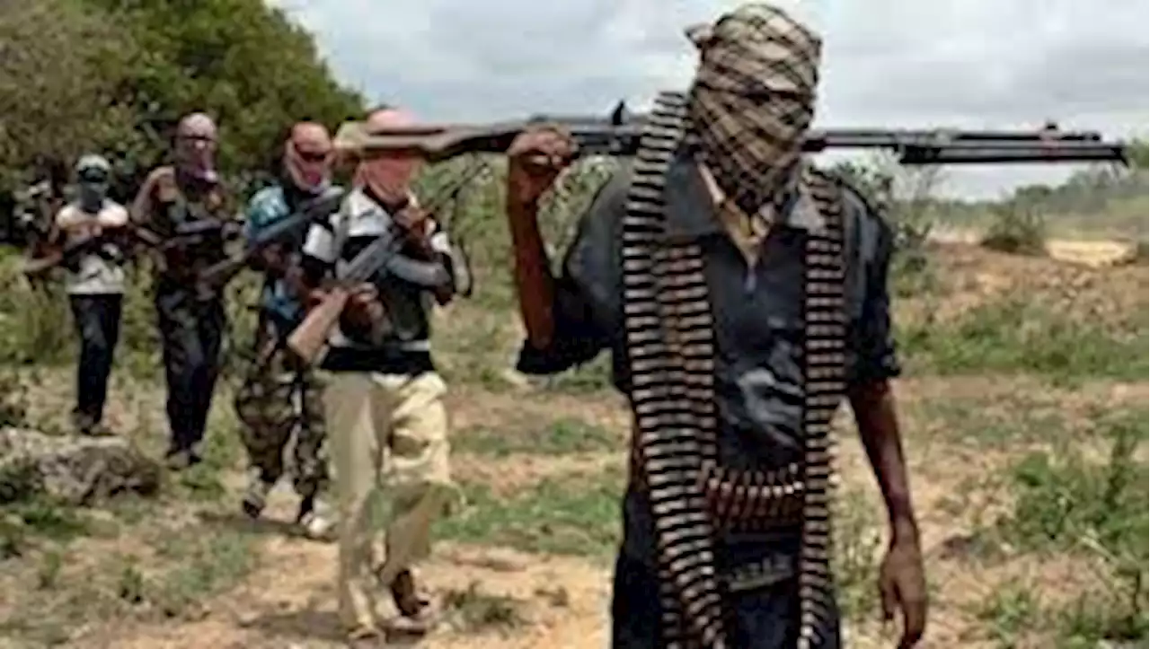 Boko Haram attacks Yobe community, kills eleven civilians