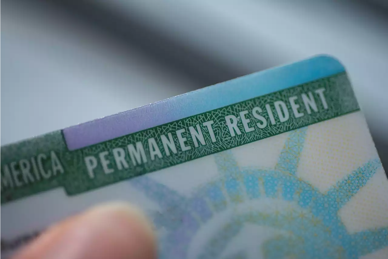 Guía para obtener la 'green card' y otras alternativas para vivir en Estados Unidos - Pulzo