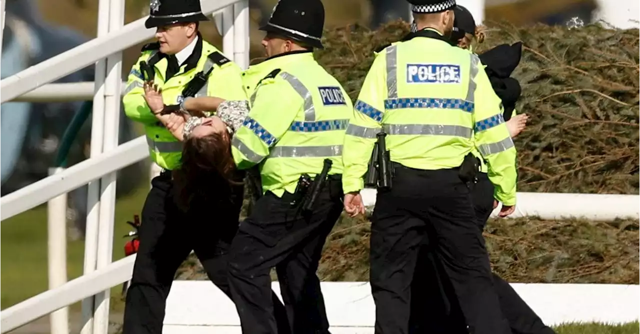 Protesters delay UK's Grand National horse race, 118 arrested