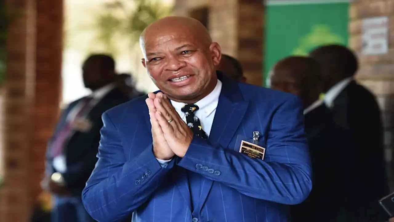 ANC leaders must respond to challenges facing the organisation: Stanley Mathabatha - SABC News