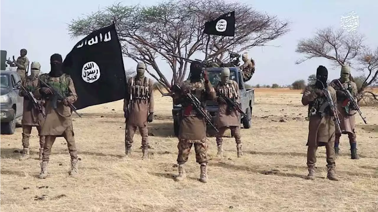 Boko Haram Terrorists Kill Nine Residents In Fresh Attack In Yobe State | Sahara Reporters