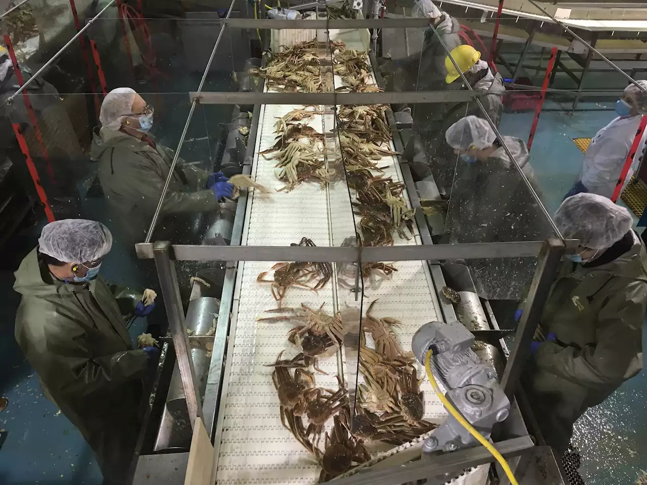 A 'survival season' for snow crab fishermen, hope for 2024 | SaltWire