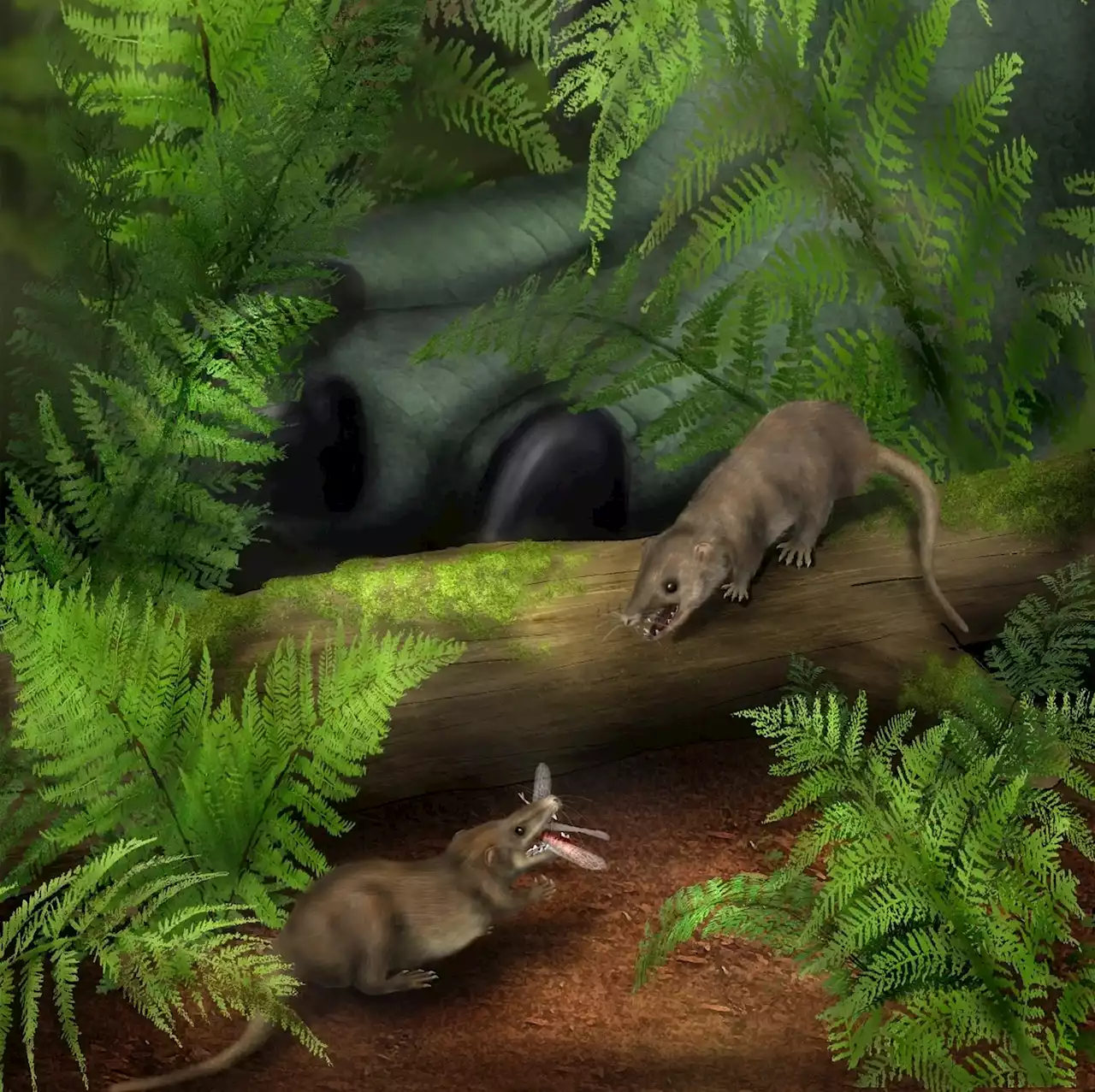 New Study Uncovers Secret of Mammals’ Evolutionary Success