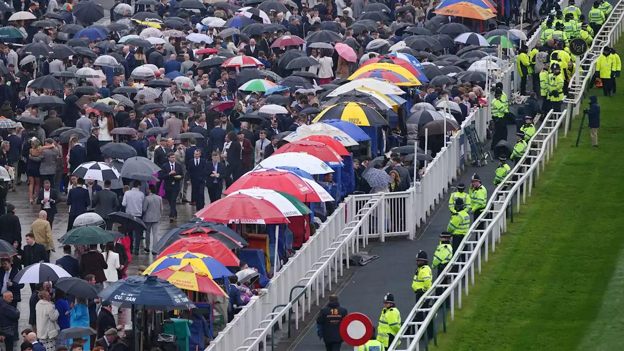 Grand National: Animal Rising protesters say they'll try to stop race from going ahead