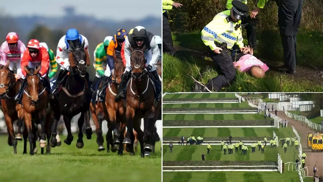 Third racehorse dies during Grand National meeting - as 118 arrested over protest before event